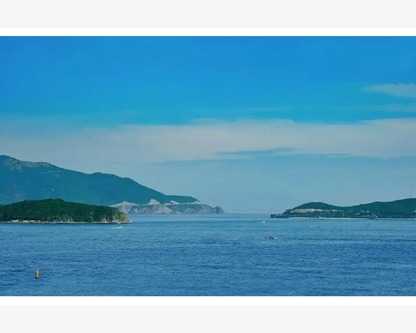 按摩脾胃 消食方法：守护健康的秘诀